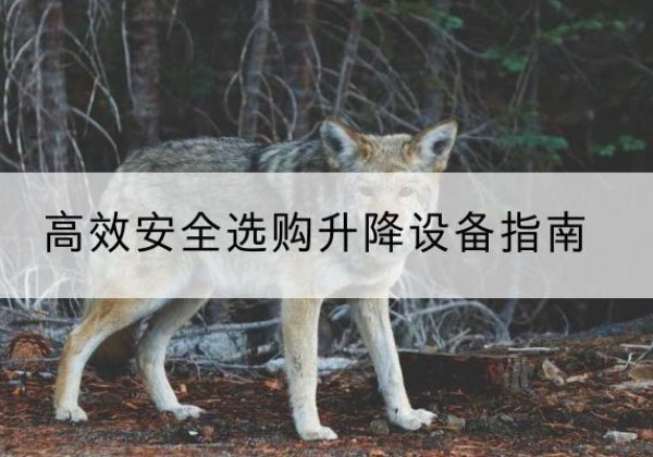 盐池升降货梯厂家推荐-*安全选购升降设备指南