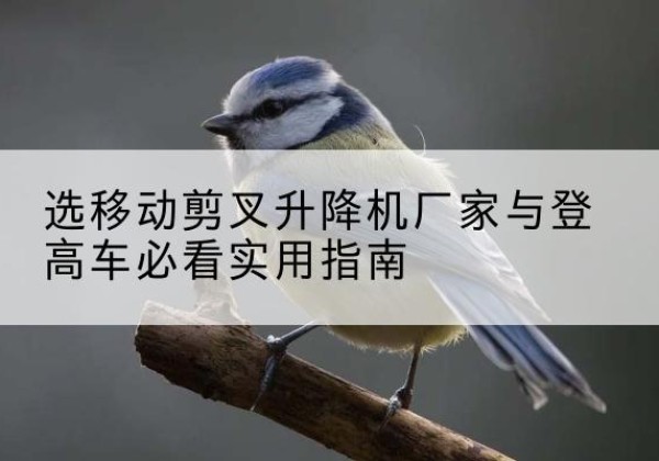盐池电动升降机厂家-选移动剪叉升降机厂家与登高车必看实用指南