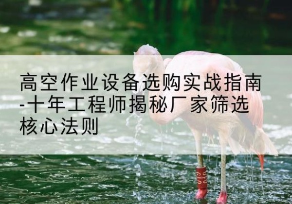 盐池剪叉式升降机厂家-高空作业设备选购实战指南-十年工程师揭秘厂家筛选核心法则