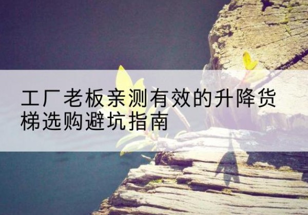 盐池升降货梯怎么选-工厂老板亲测有效的升降货梯选购避坑指南